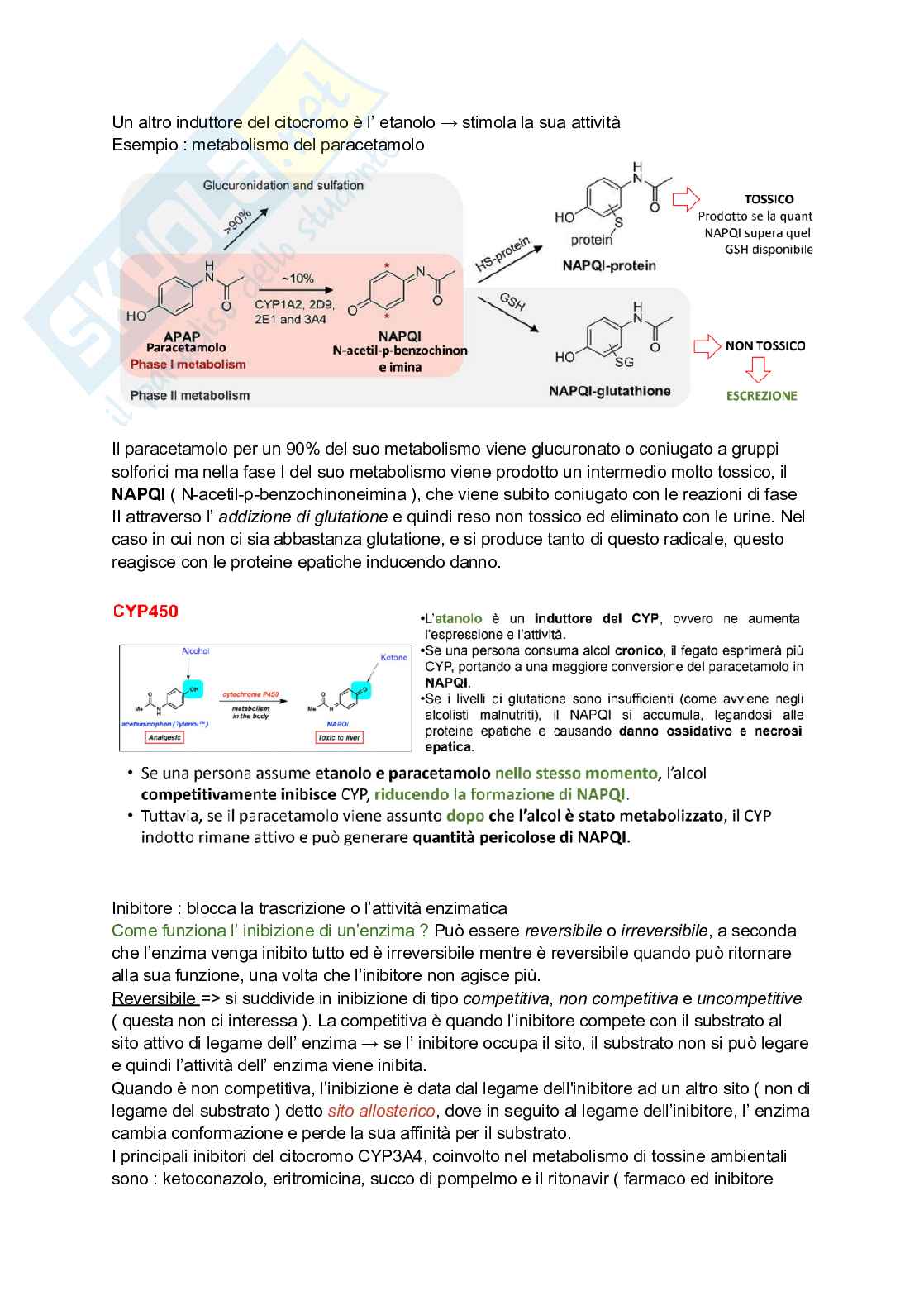 Fasi della biotrasformazione Pag. 11