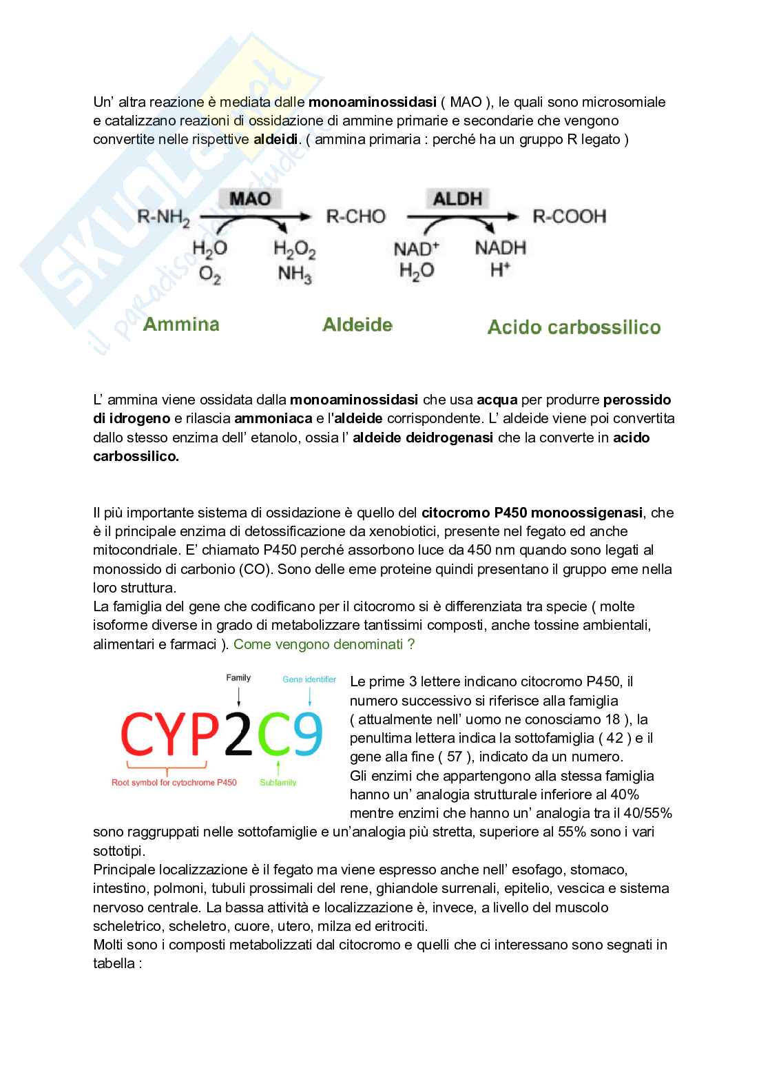 Fasi della biotrasformazione Pag. 6