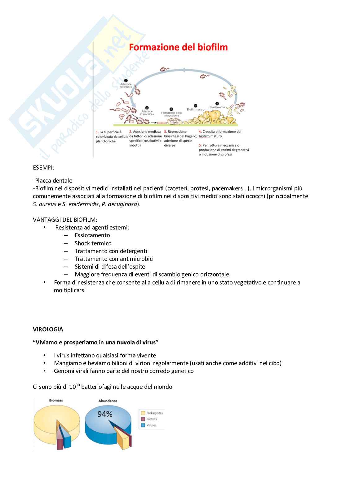 Sintesi microbiologia Pag. 11