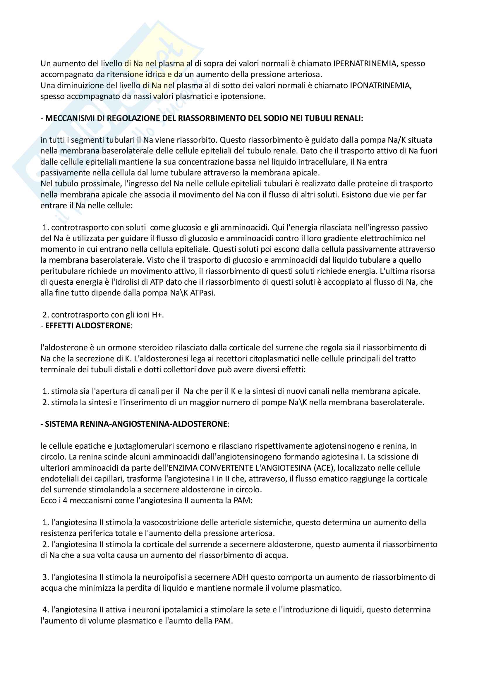 Fisiologia: riassunto e quiz esame - prof Roatta Pag. 81