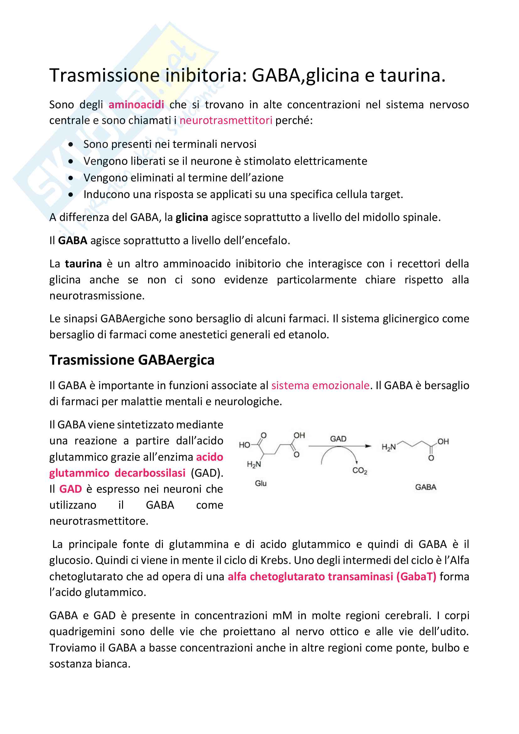 Trasmissione inibitoria: GABA, glicina e taurina Pag. 1