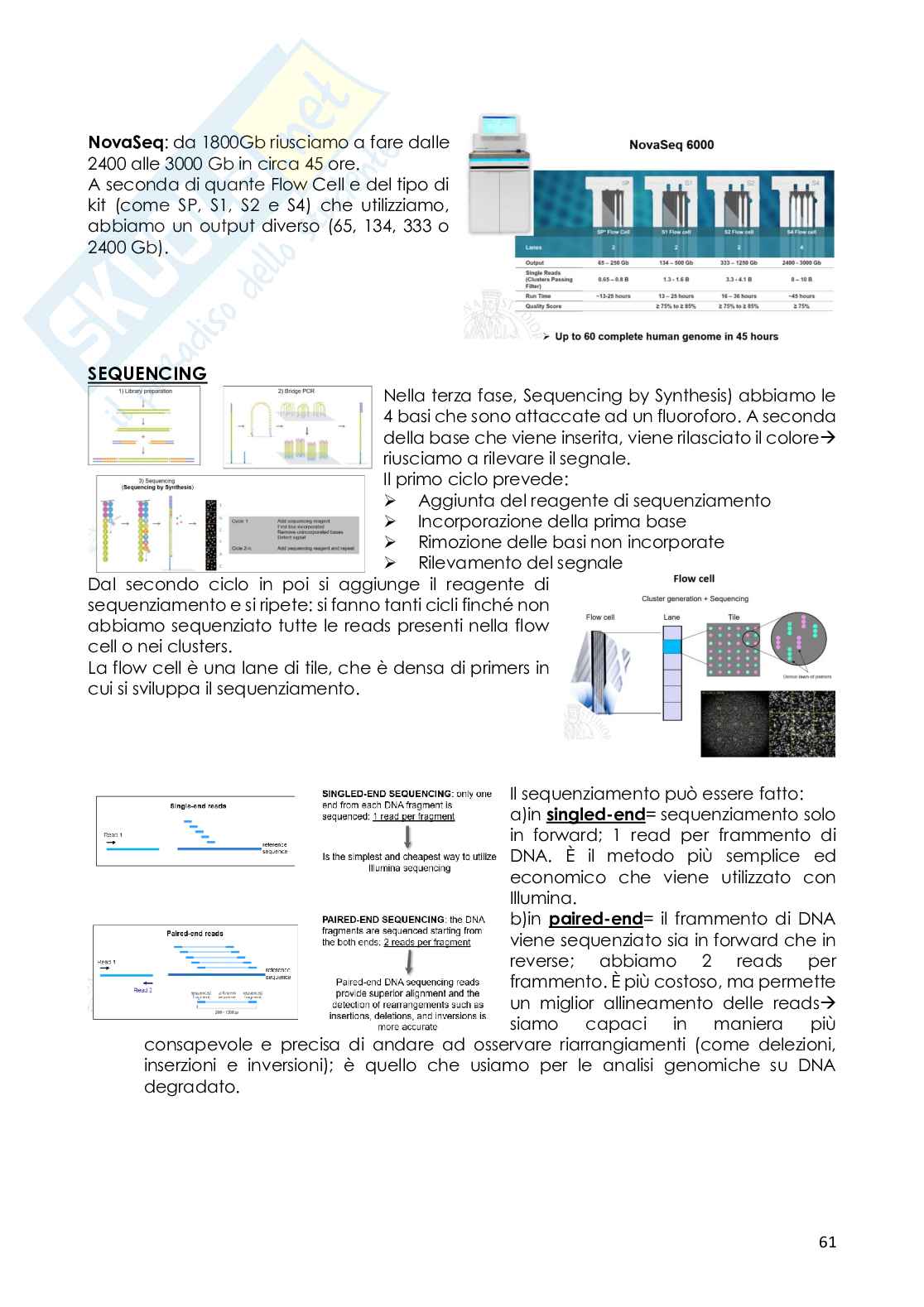 Analisi DNA con tecniche bioinformatiche Pag. 1
