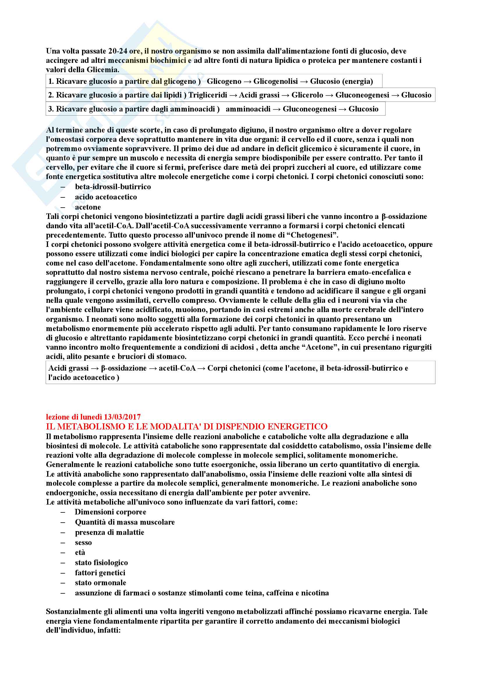 Riassunto di Biochimica degli alimenti Pag. 2