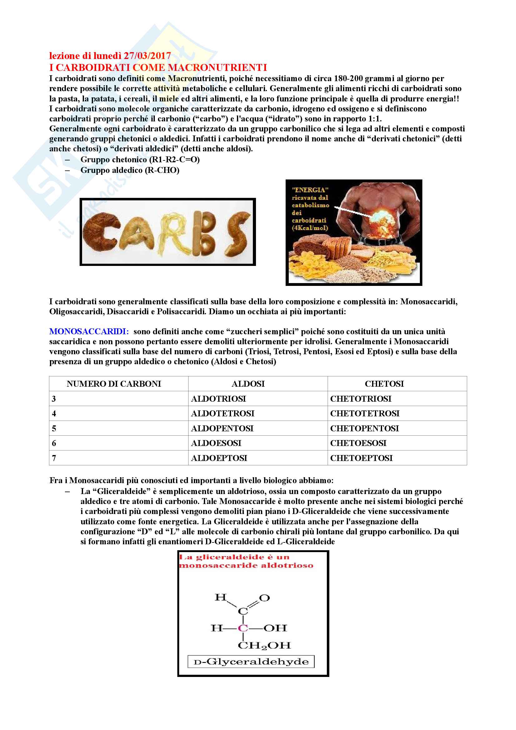 Riassunto di Biochimica degli alimenti Pag. 36