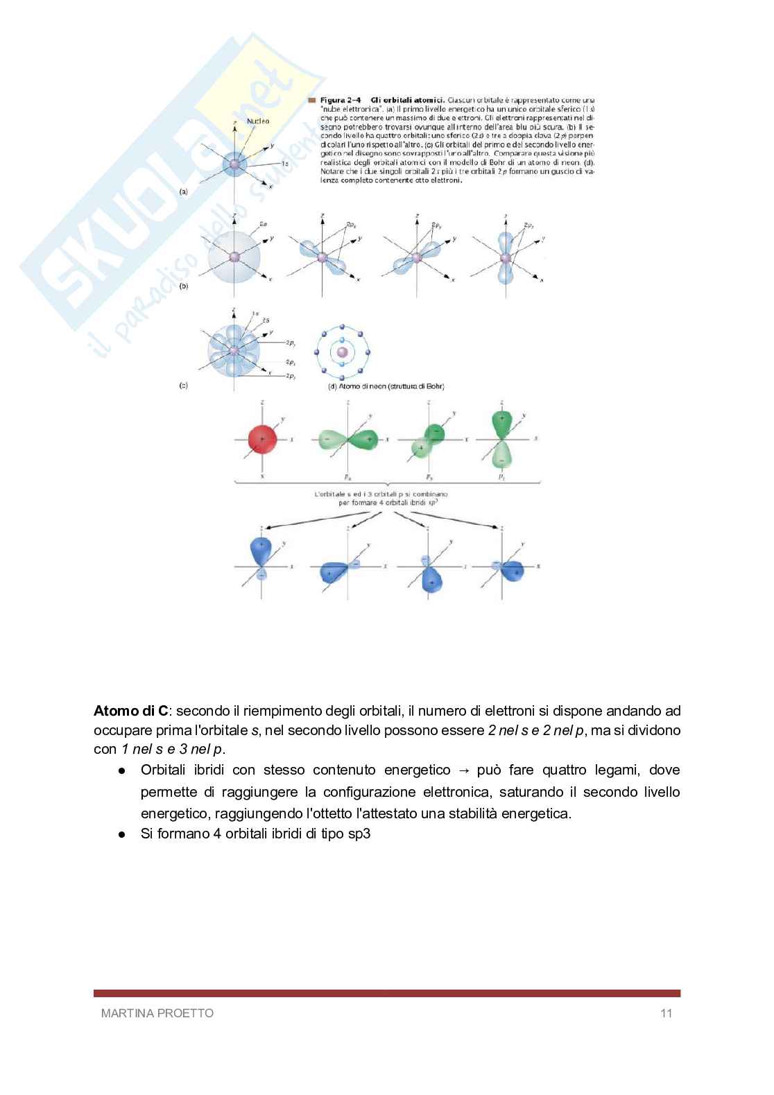 Biologia e biochimica  Pag. 11