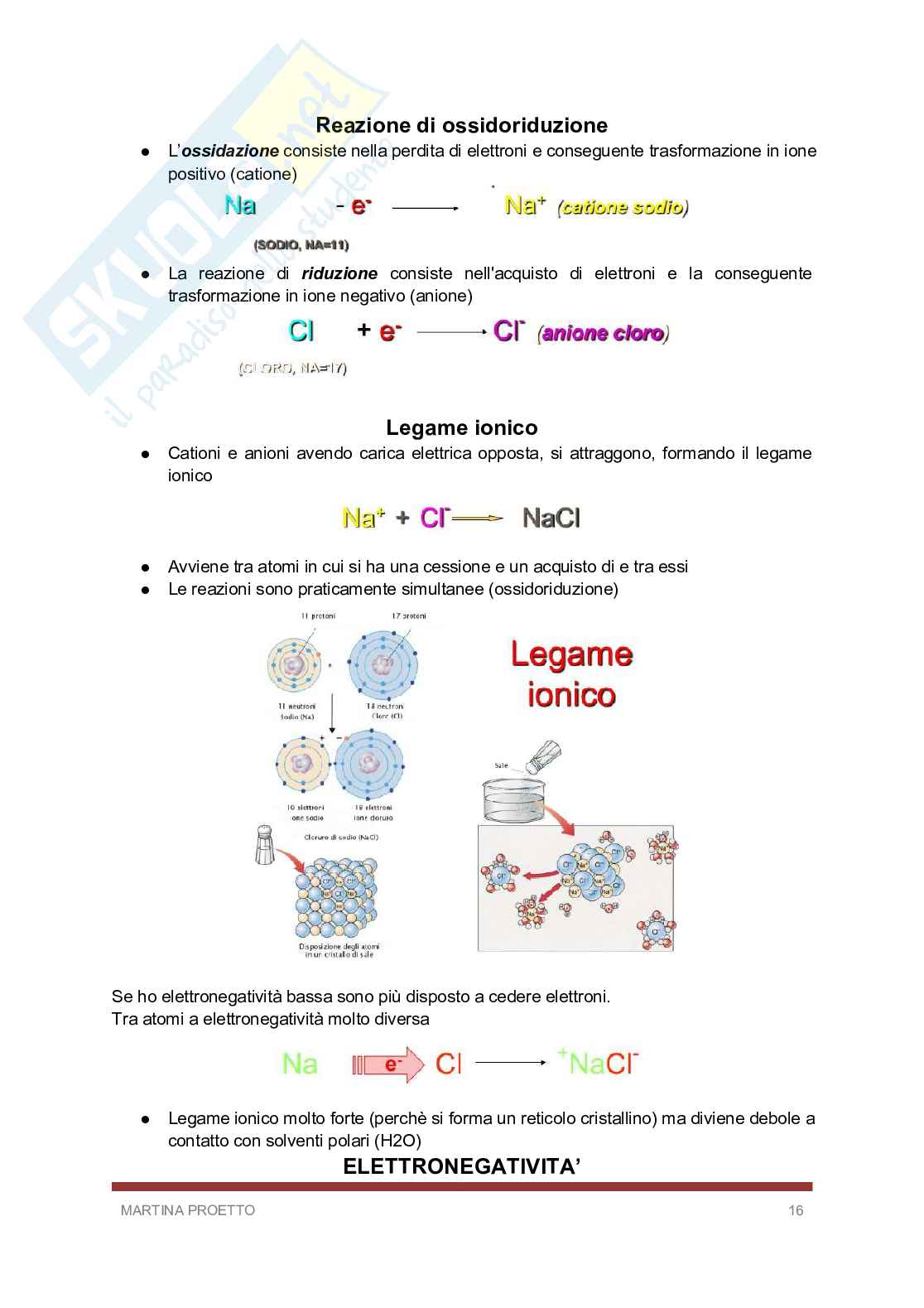 Biologia e biochimica  Pag. 16