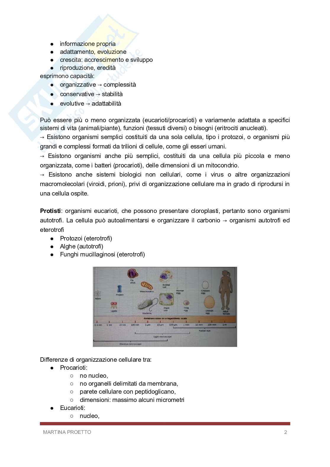 Biologia e biochimica  Pag. 2