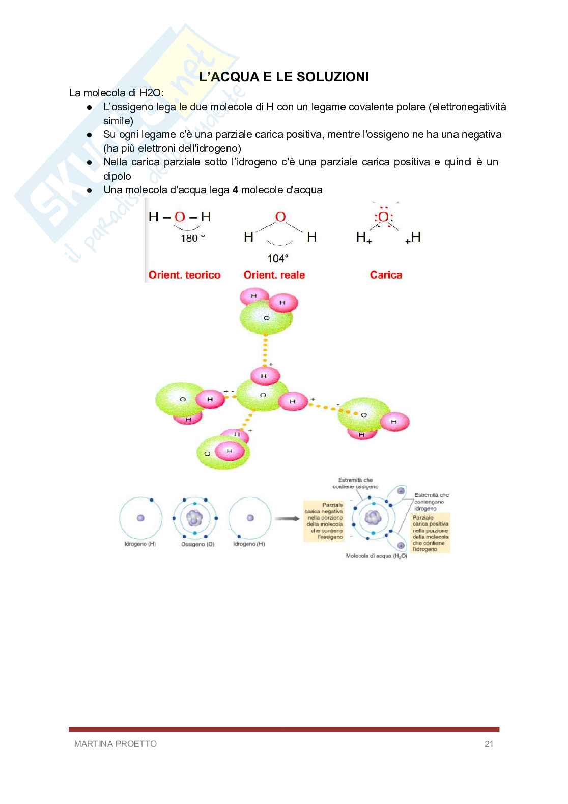 Biologia e biochimica  Pag. 21