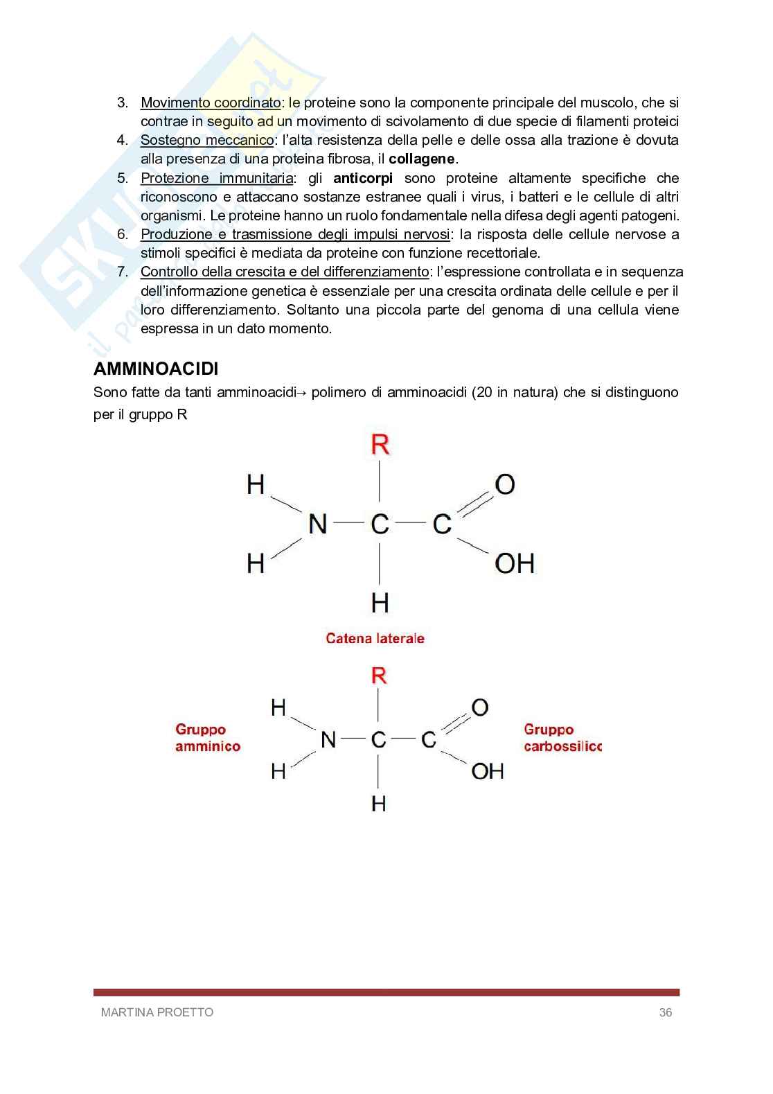 Biologia e biochimica  Pag. 36