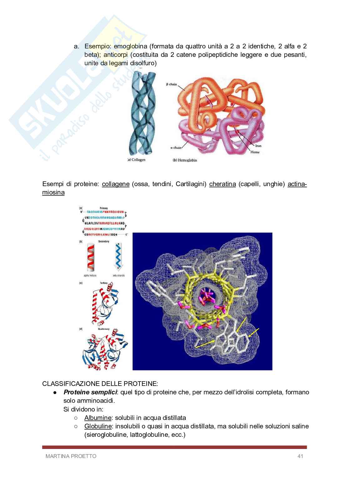 Biologia e biochimica  Pag. 41