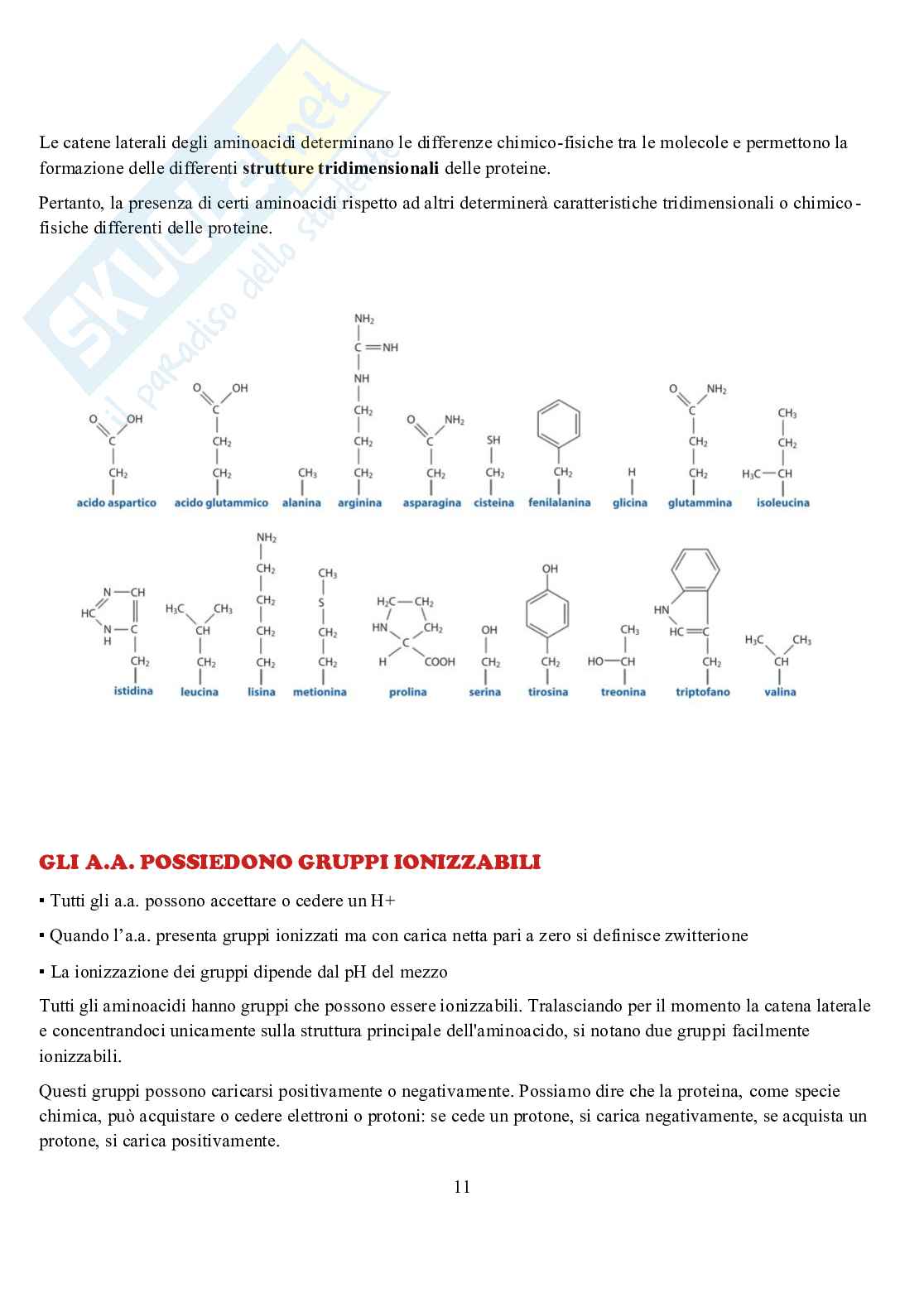 Appunti di Biochimica  Pag. 11