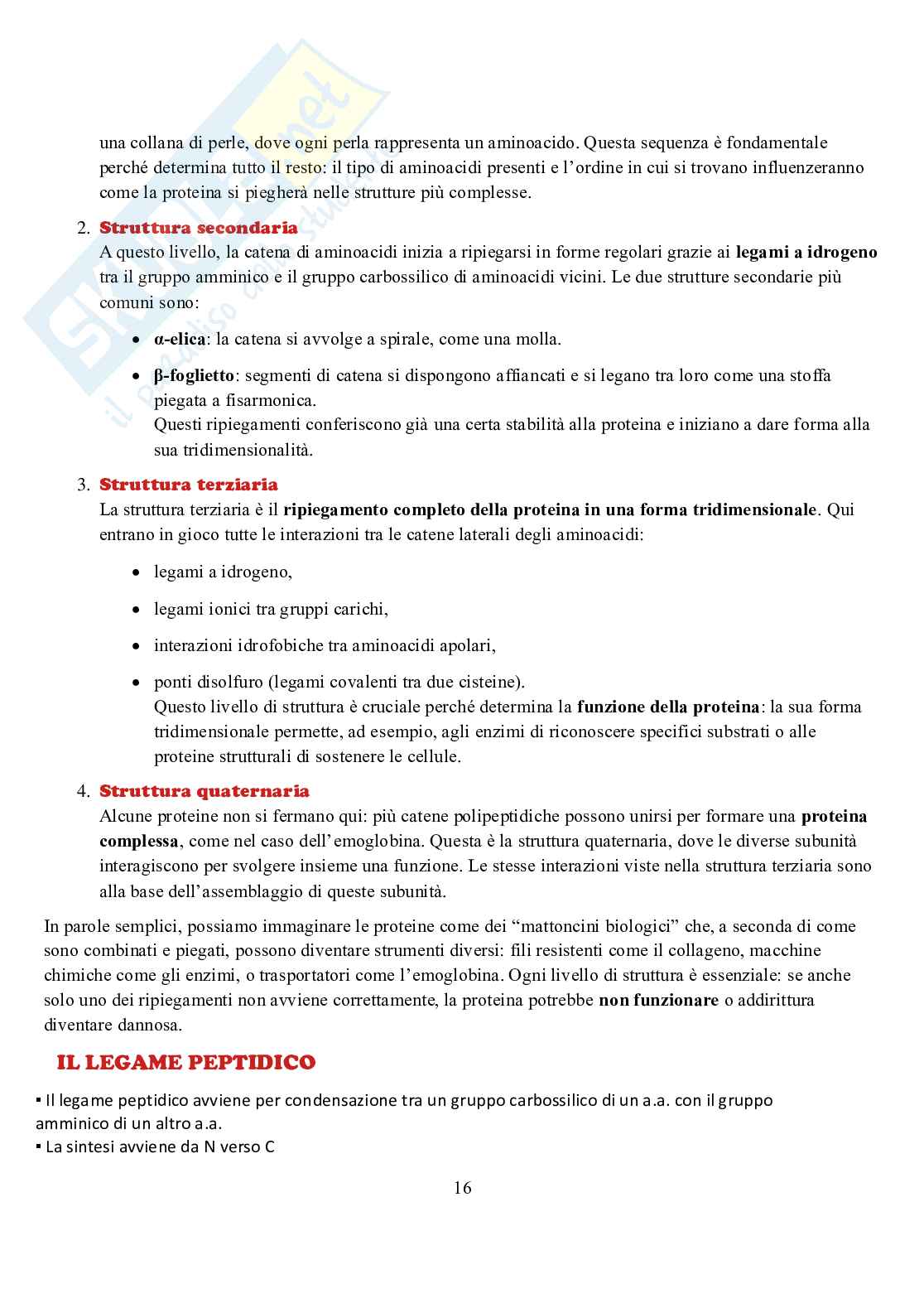 Appunti di Biochimica  Pag. 16