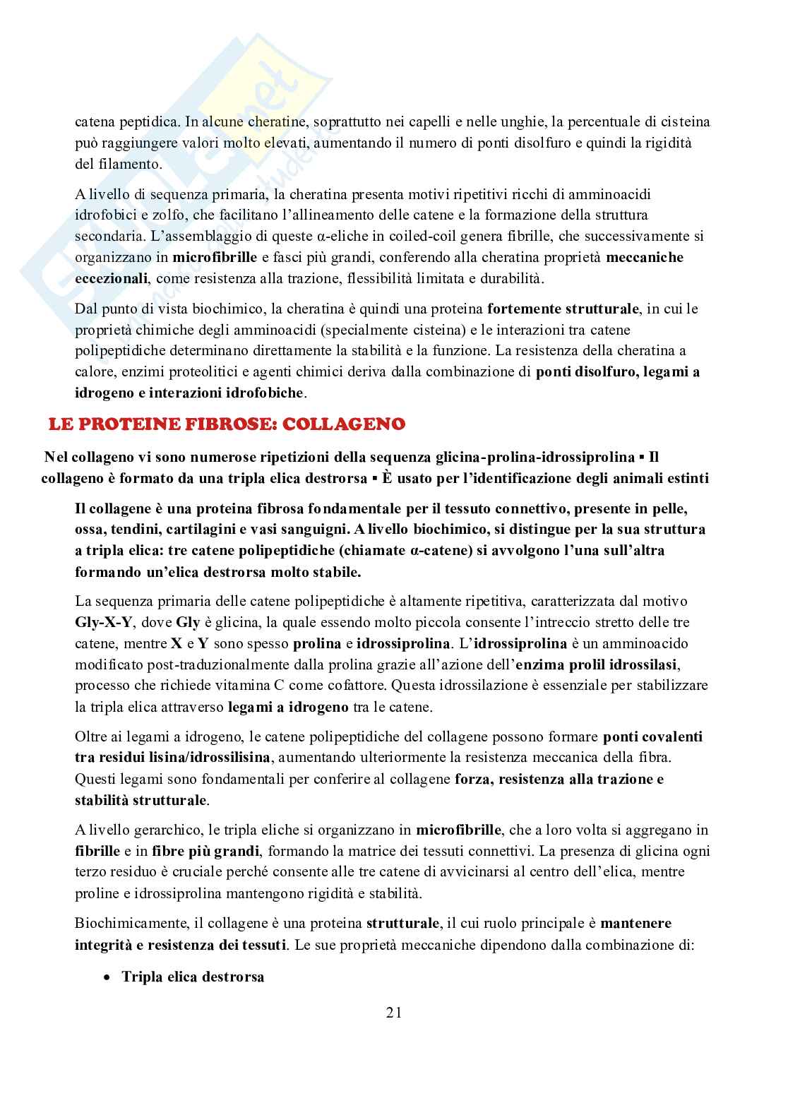 Appunti di Biochimica  Pag. 21