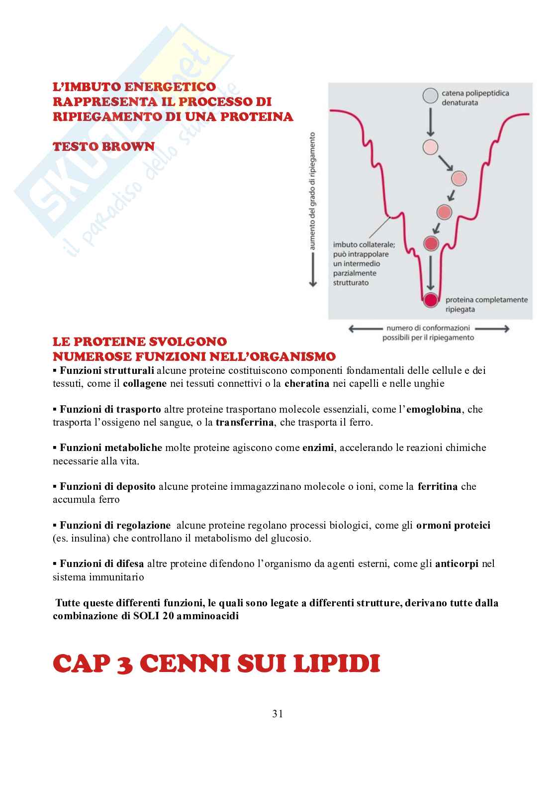 Appunti di Biochimica  Pag. 31