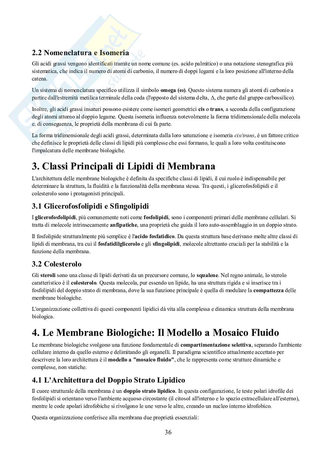 Appunti di Biochimica  Pag. 36