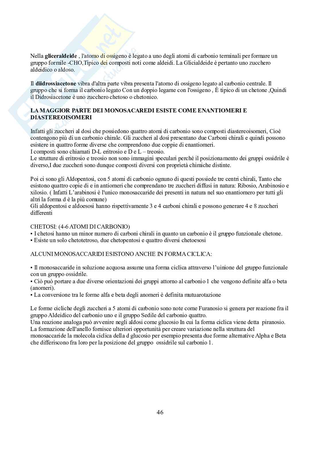 Appunti di Biochimica  Pag. 46