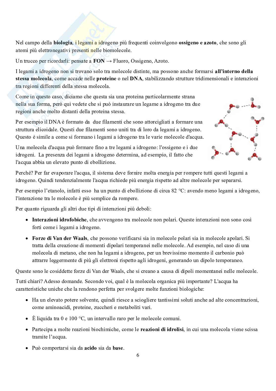 Appunti di Biochimica  Pag. 6