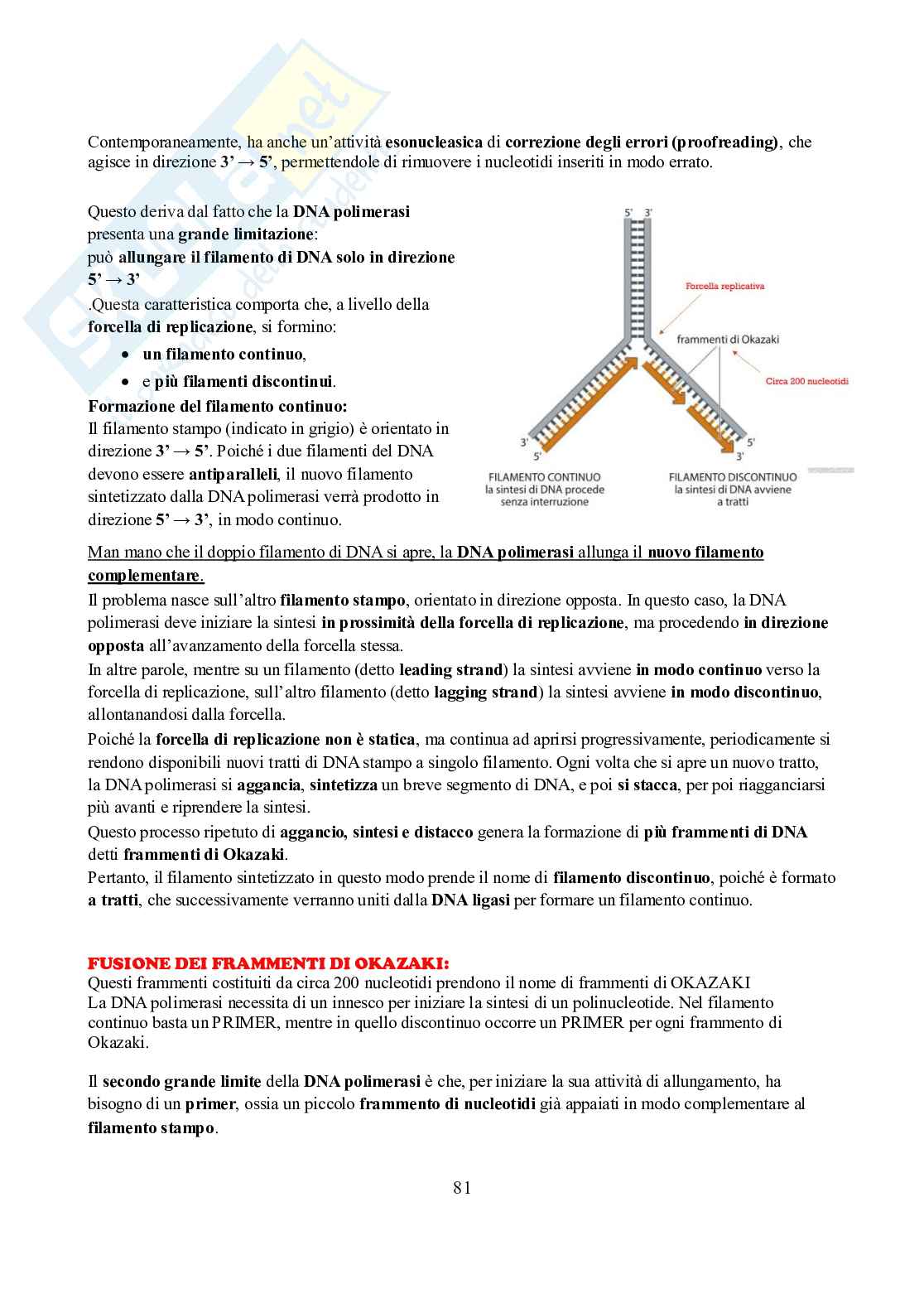 Appunti di Biochimica  Pag. 81