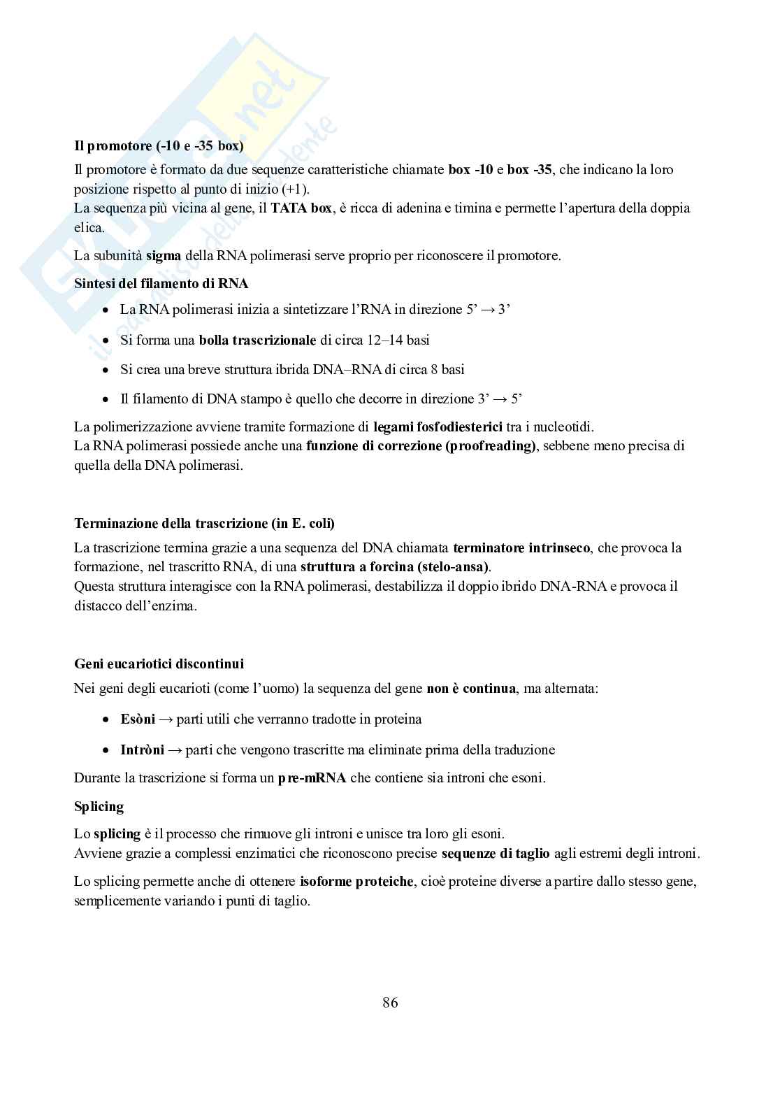 Appunti di Biochimica  Pag. 86