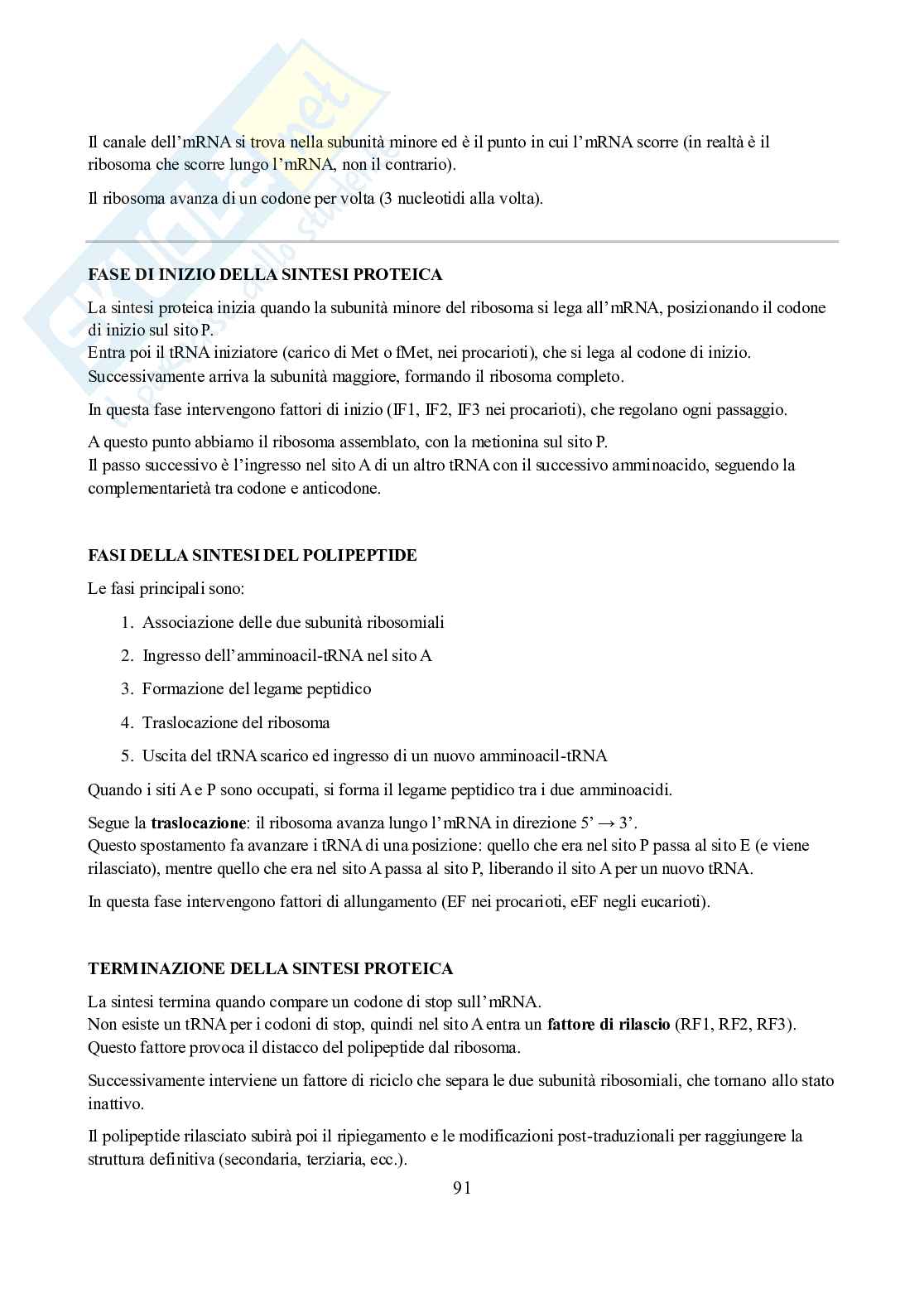 Appunti di Biochimica  Pag. 91