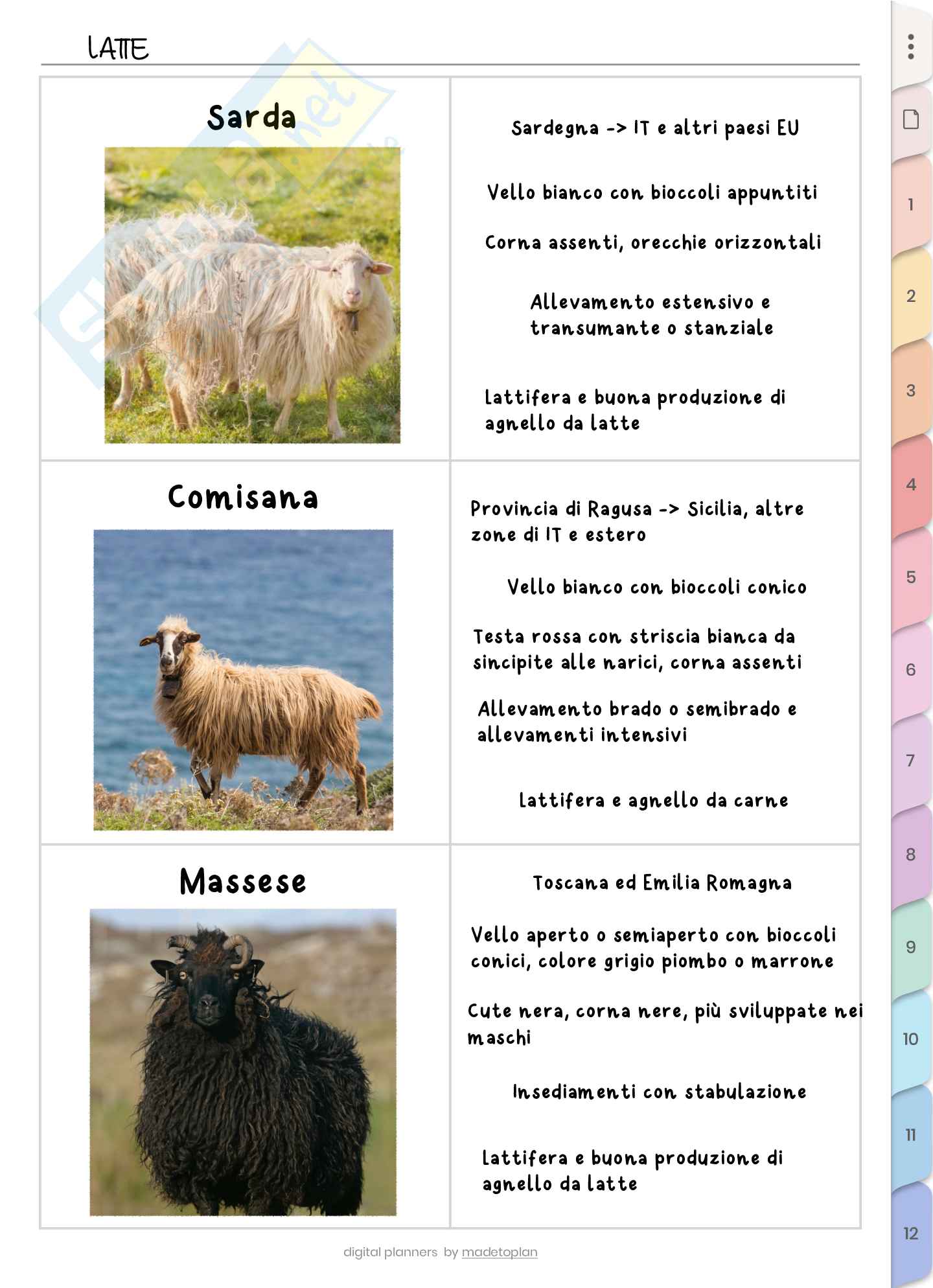 Ovini, caprini, suini Pag. 2