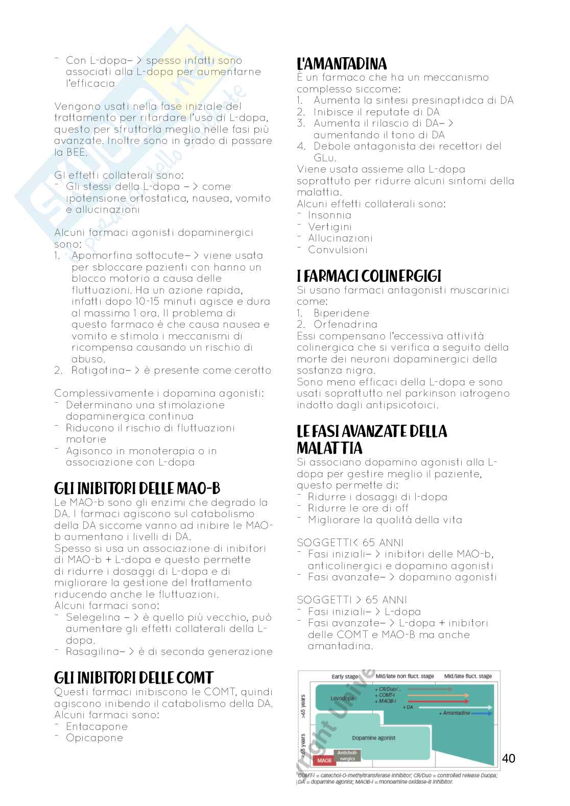 Farmacologia e farmacoterapia - Appunti completi  Pag. 41