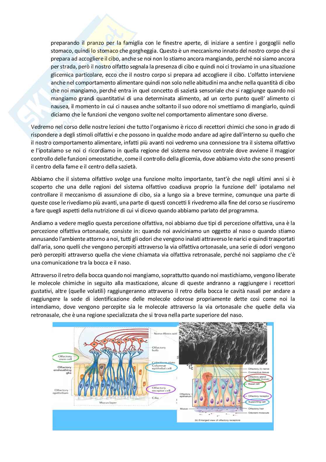 Fisiologia generale - Parte  4 Pag. 2