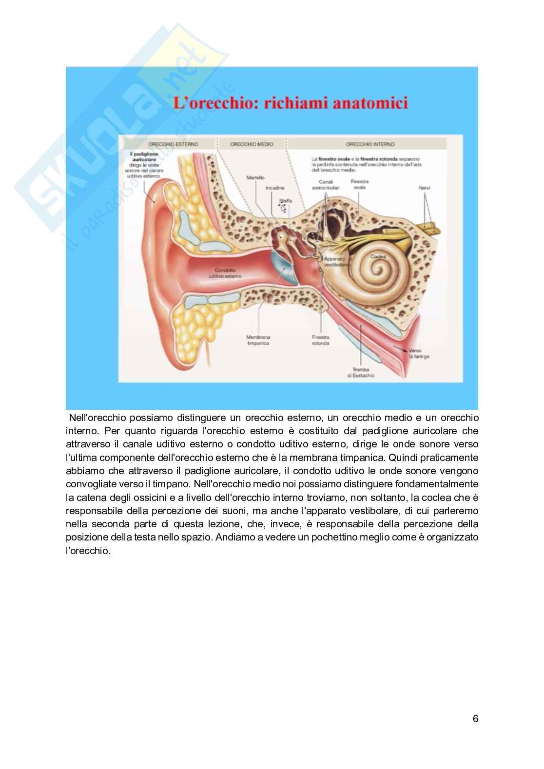 Fisiologia generale - Parte  4 Pag. 31