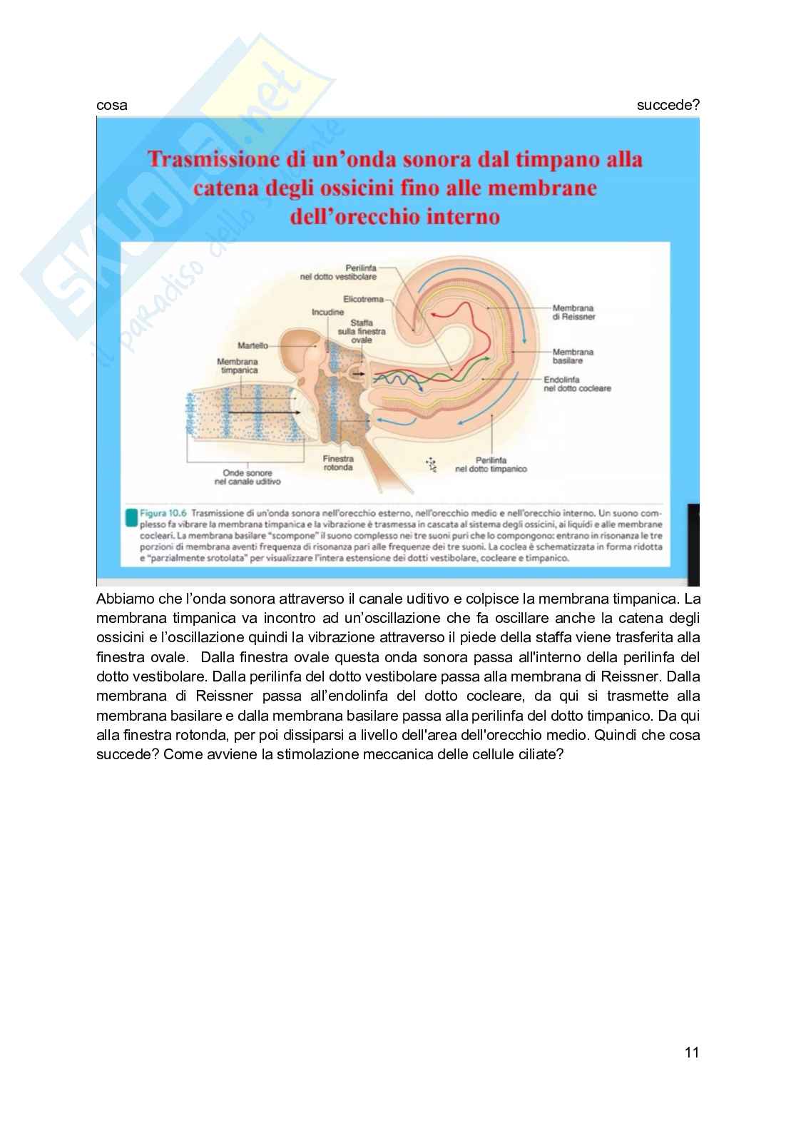 Fisiologia generale - Parte  4 Pag. 36
