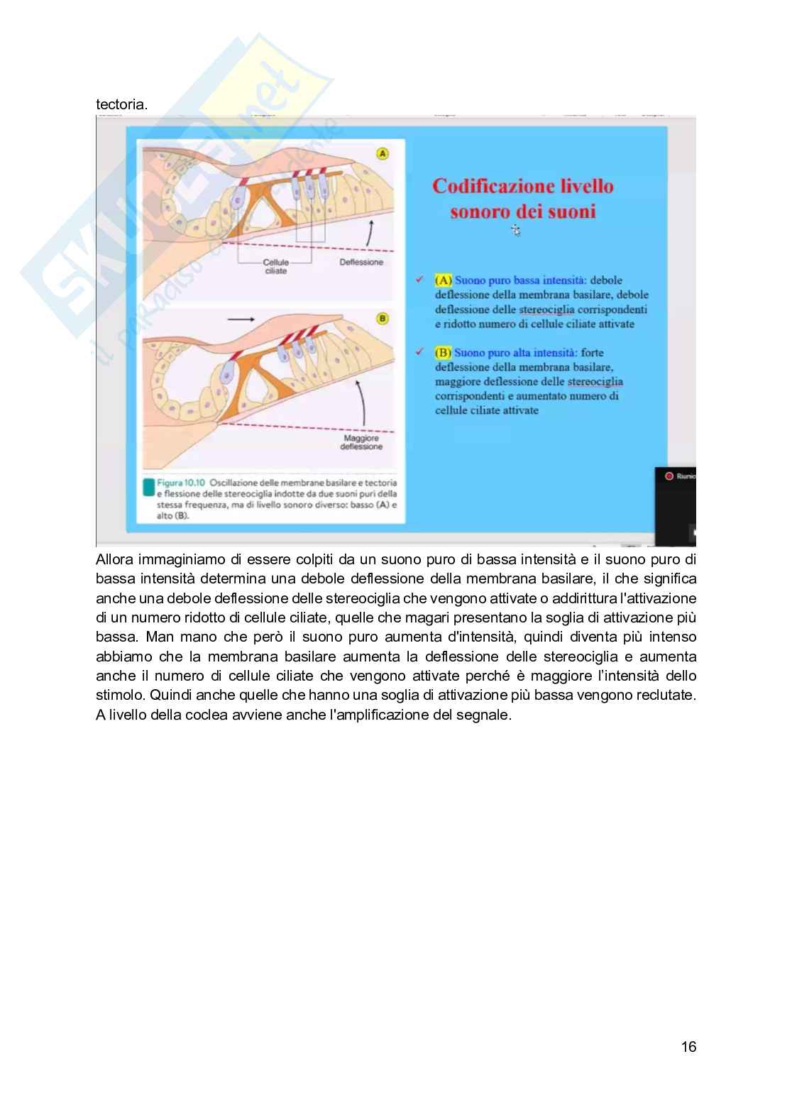 Fisiologia generale - Parte  4 Pag. 41