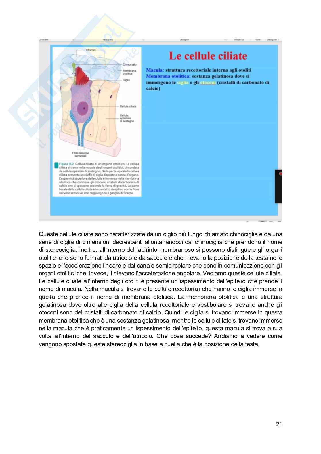 Fisiologia generale - Parte  4 Pag. 46
