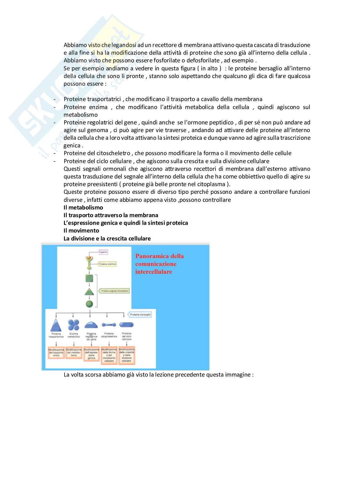 Fisiologia generale - Parte  4 Pag. 61