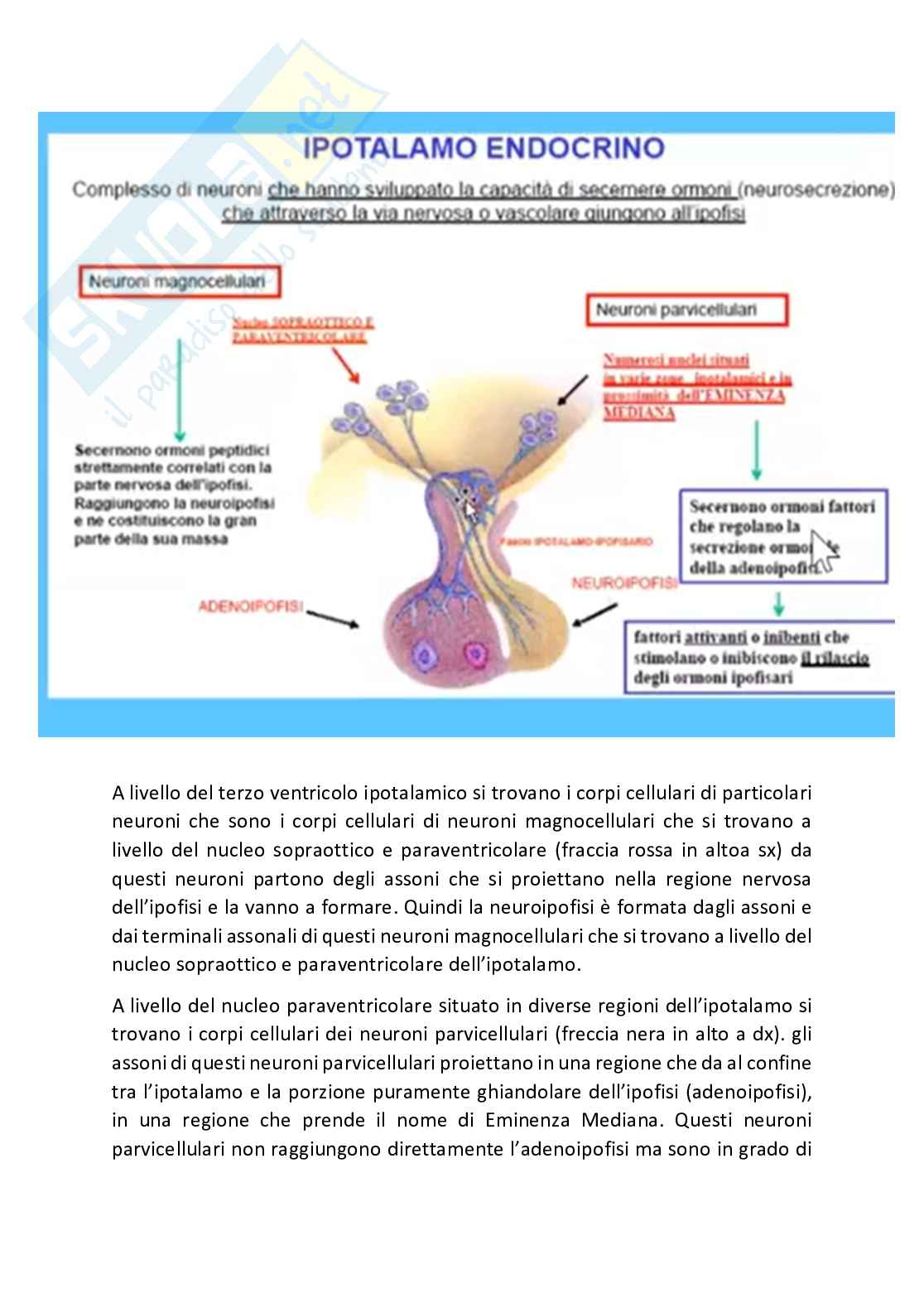 Fisiologia generale - Parte  4 Pag. 76