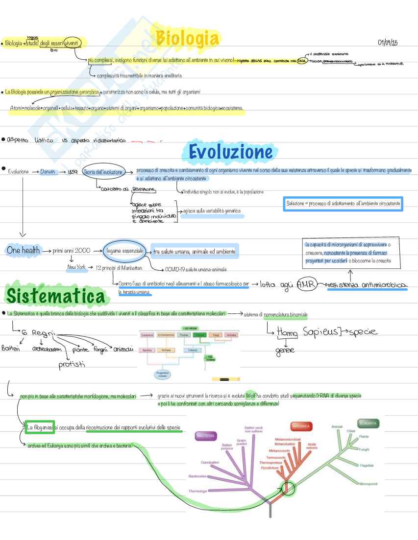 Appunti per esame di Biologia, semestre filtro Pag. 2