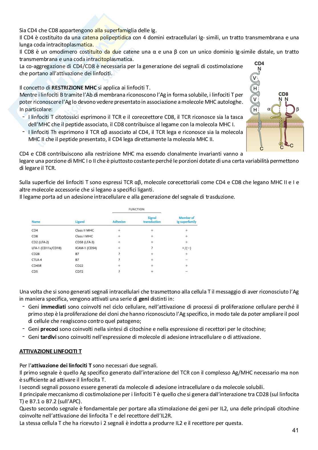 Immunologia e immunopatologia Pag. 41