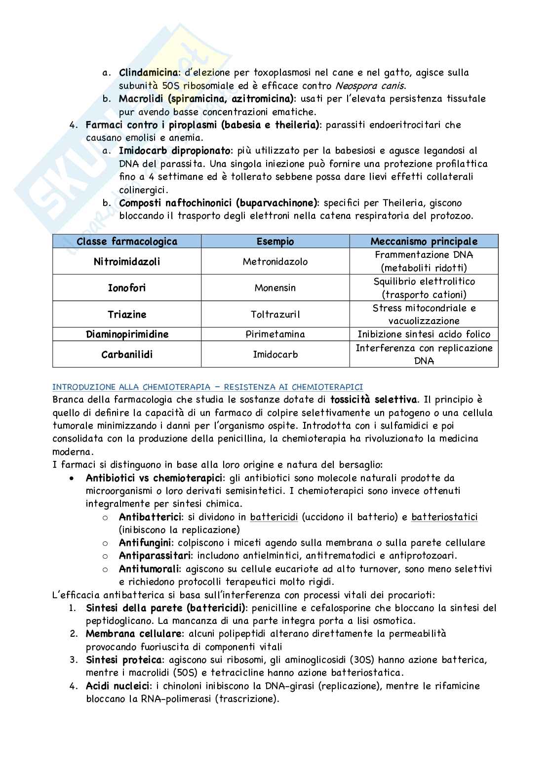 Appunti Farmacia veterinaria Pag. 26