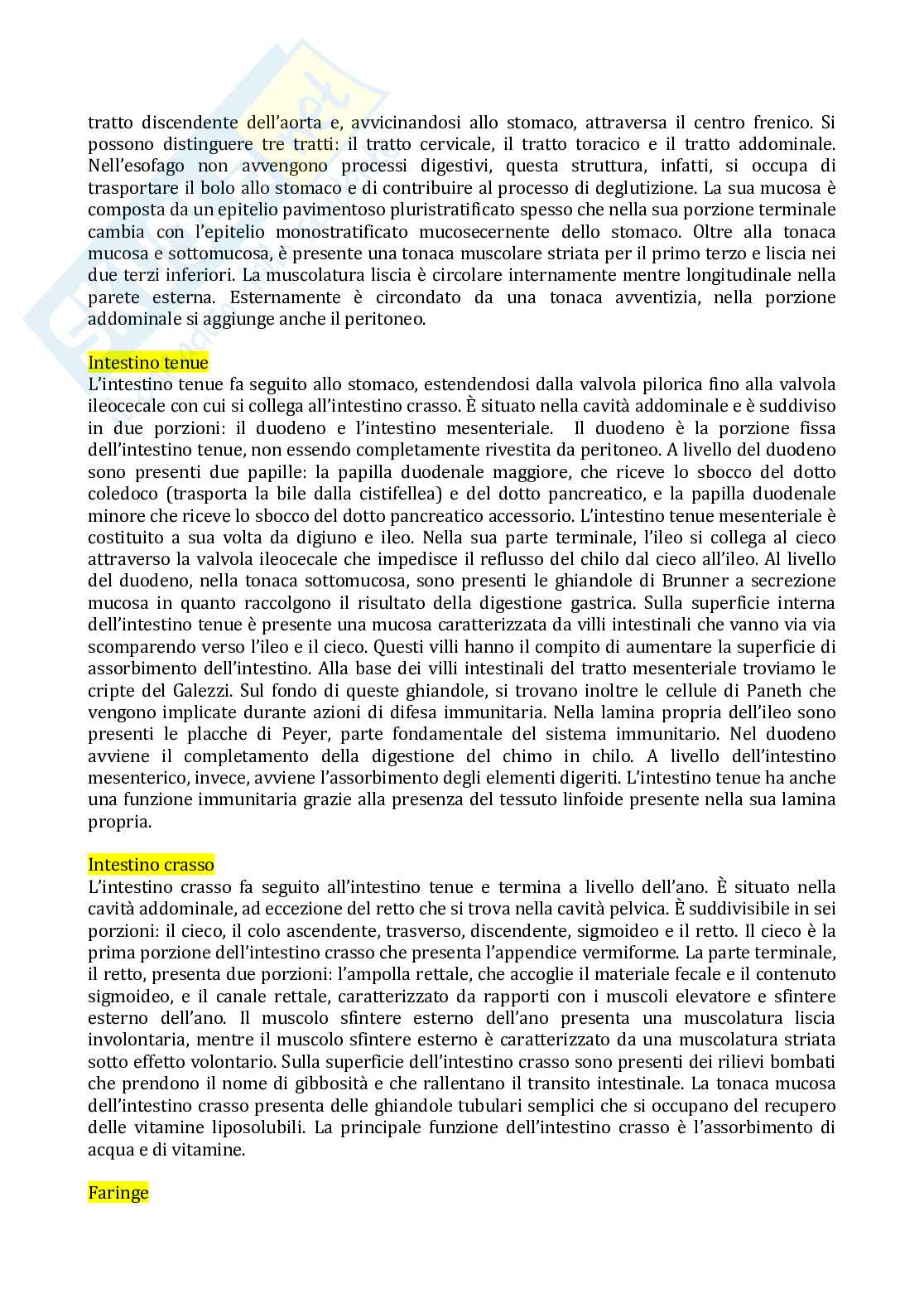 Anatomia  Pag. 36