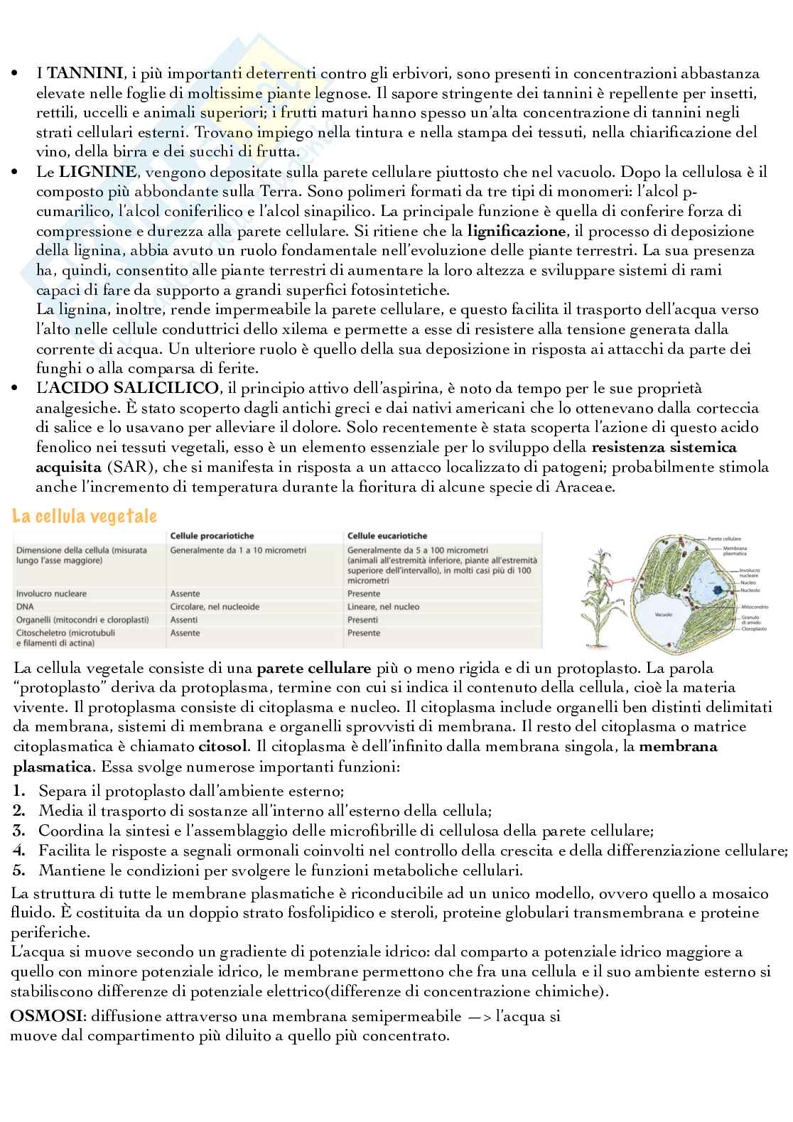 Cellula vegetale Pag. 2