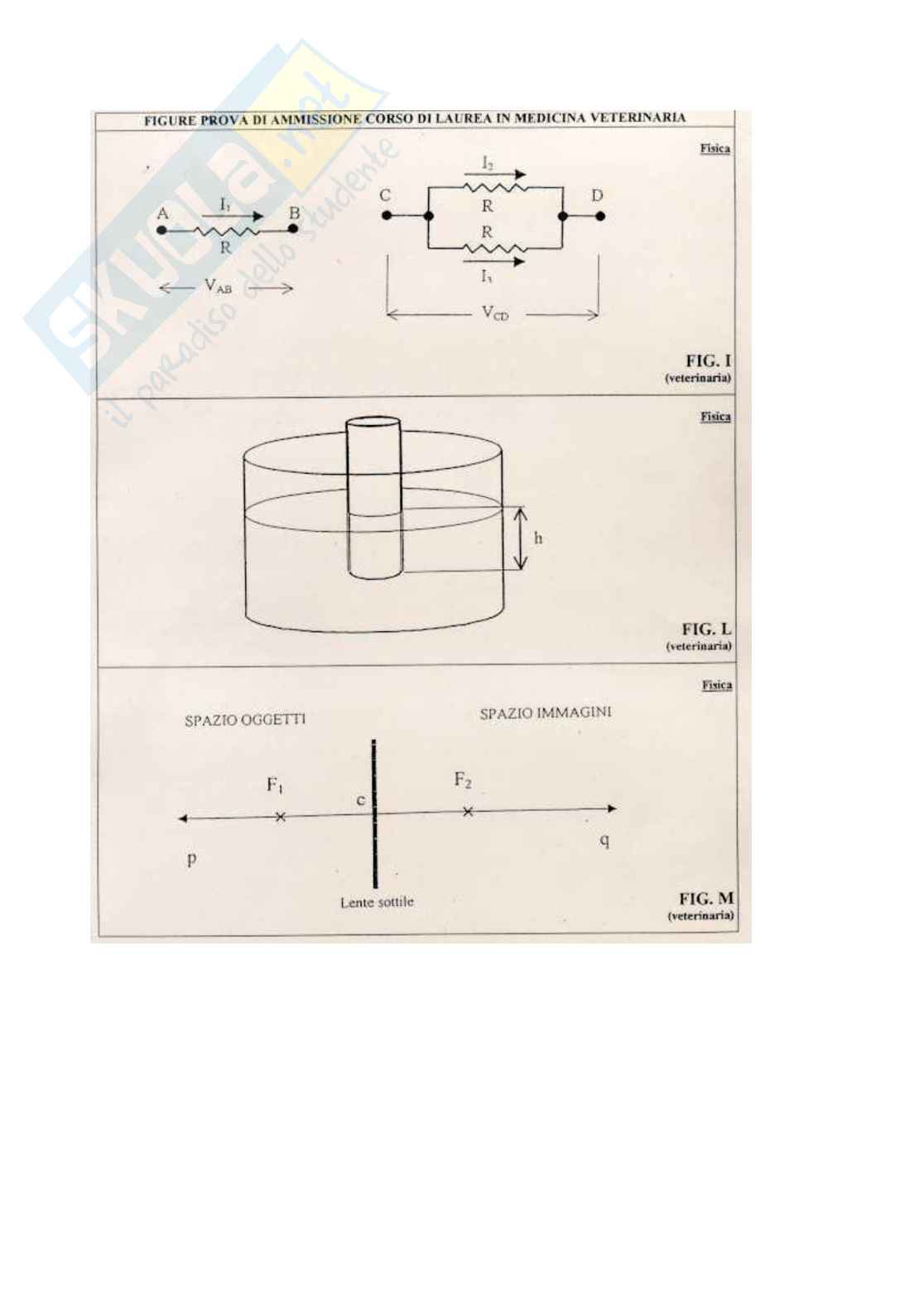 1999 Veterinaria: test di ammissione Pag. 21