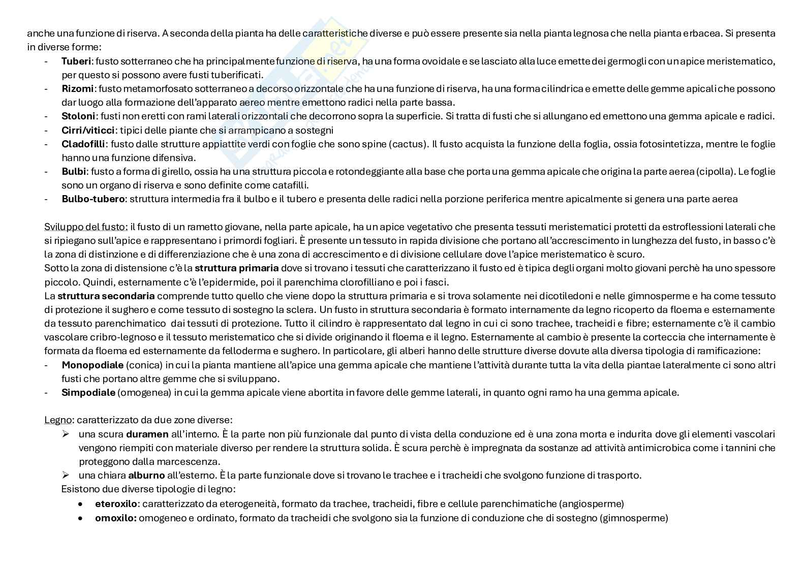 Schemi della seconda parte del corso Biologia farmaceutica vegetale Pag. 16