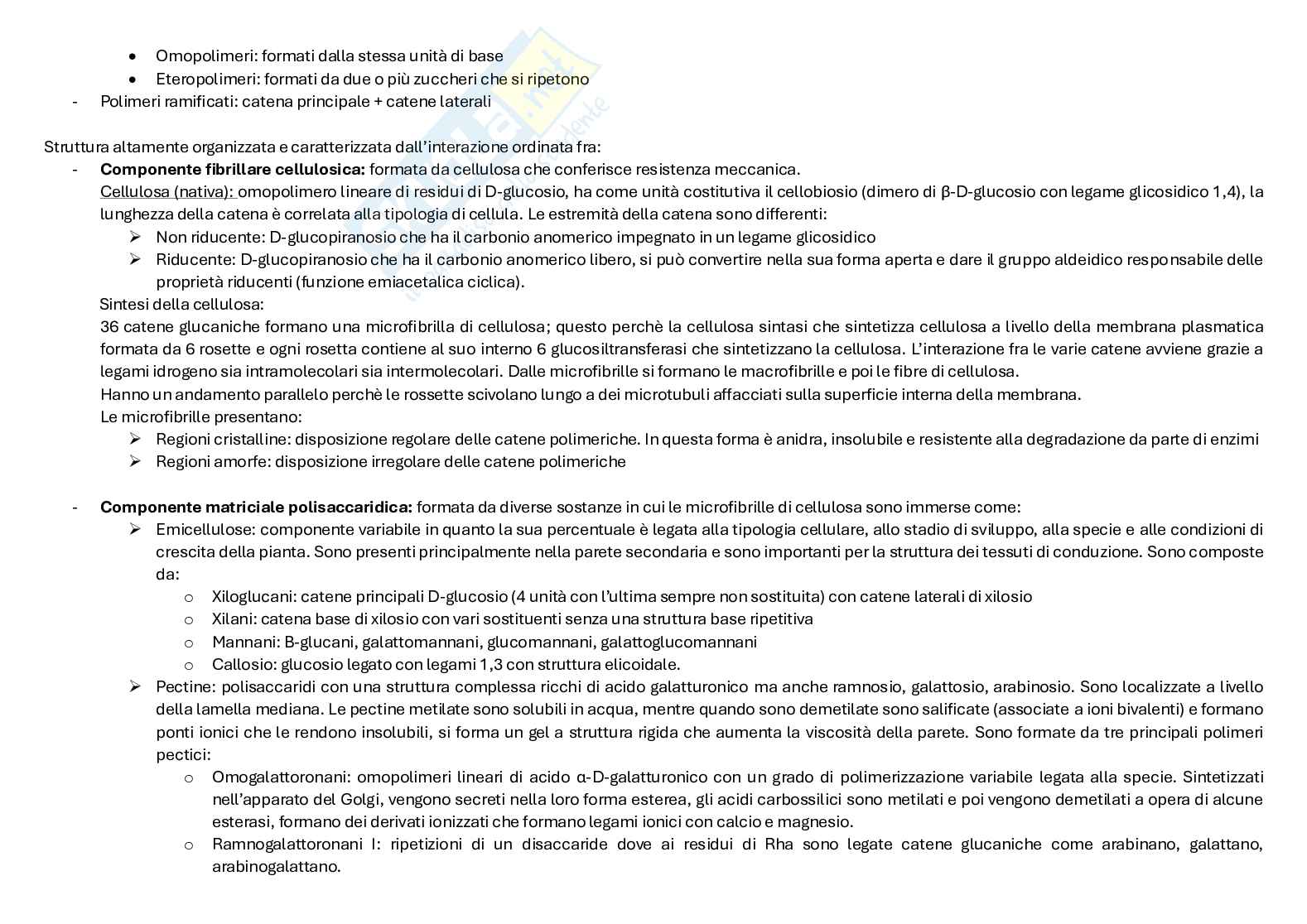 Schemi della seconda parte del corso Biologia farmaceutica vegetale Pag. 2