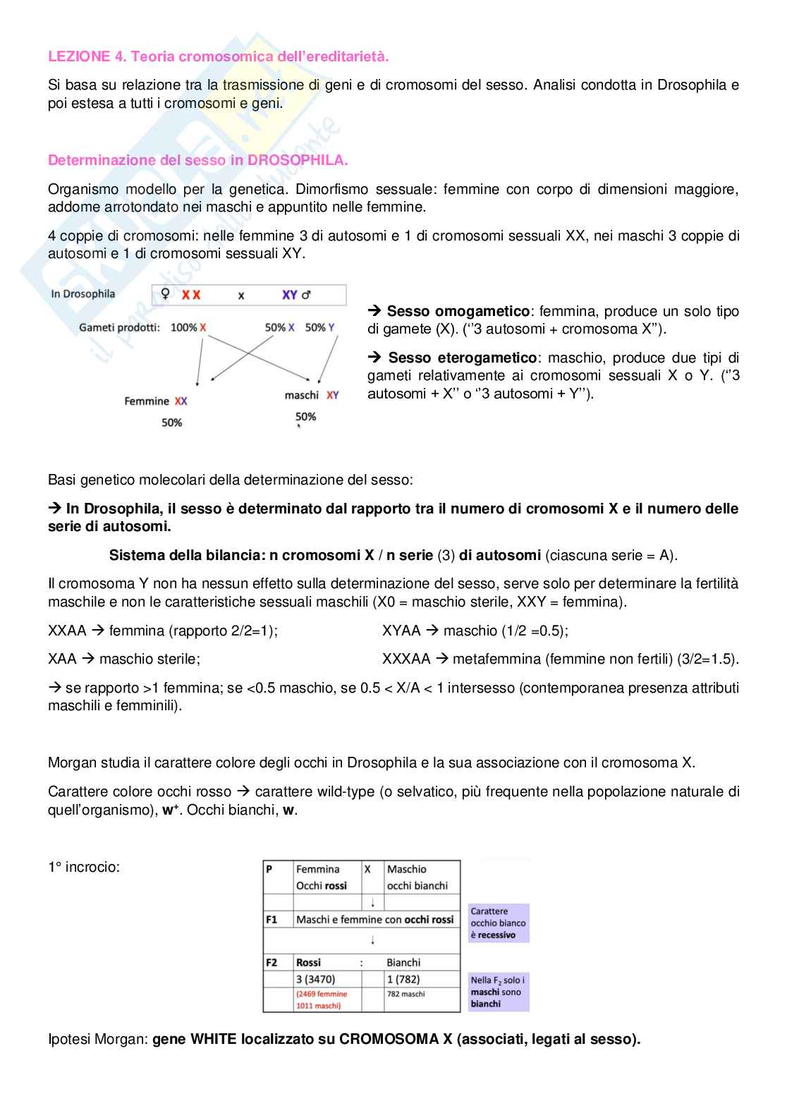 Introduzione alla genetica mendeliana Pag. 6