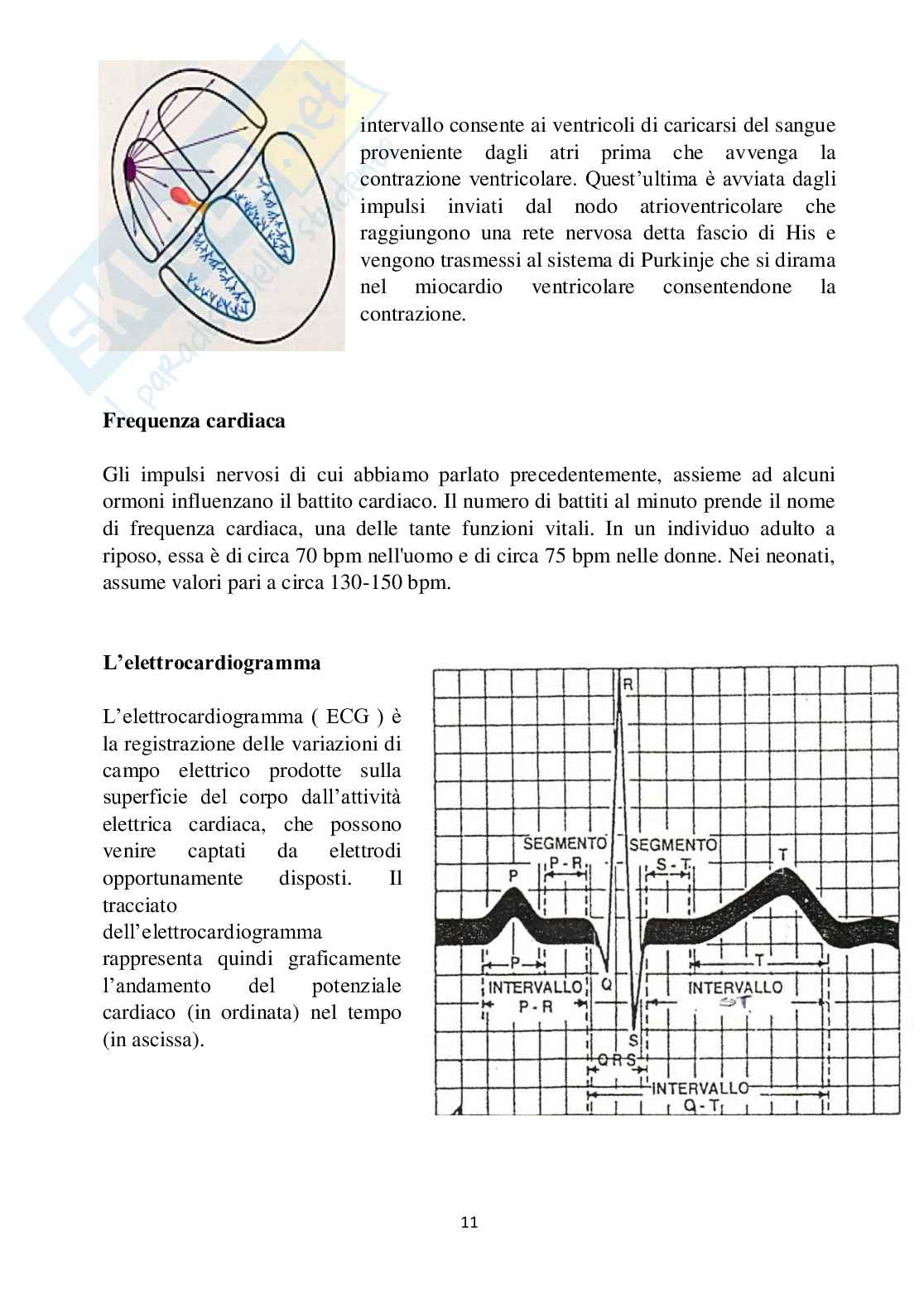 L'elettrocardiogramma: tra medicina e matematica Pag. 11