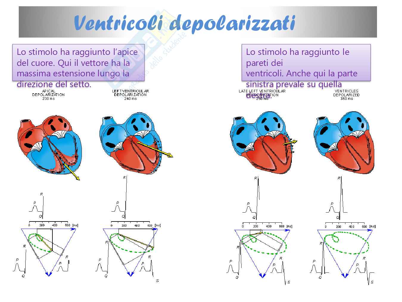 L'elettrocardiogramma: tra medicina e matematica Pag. 41