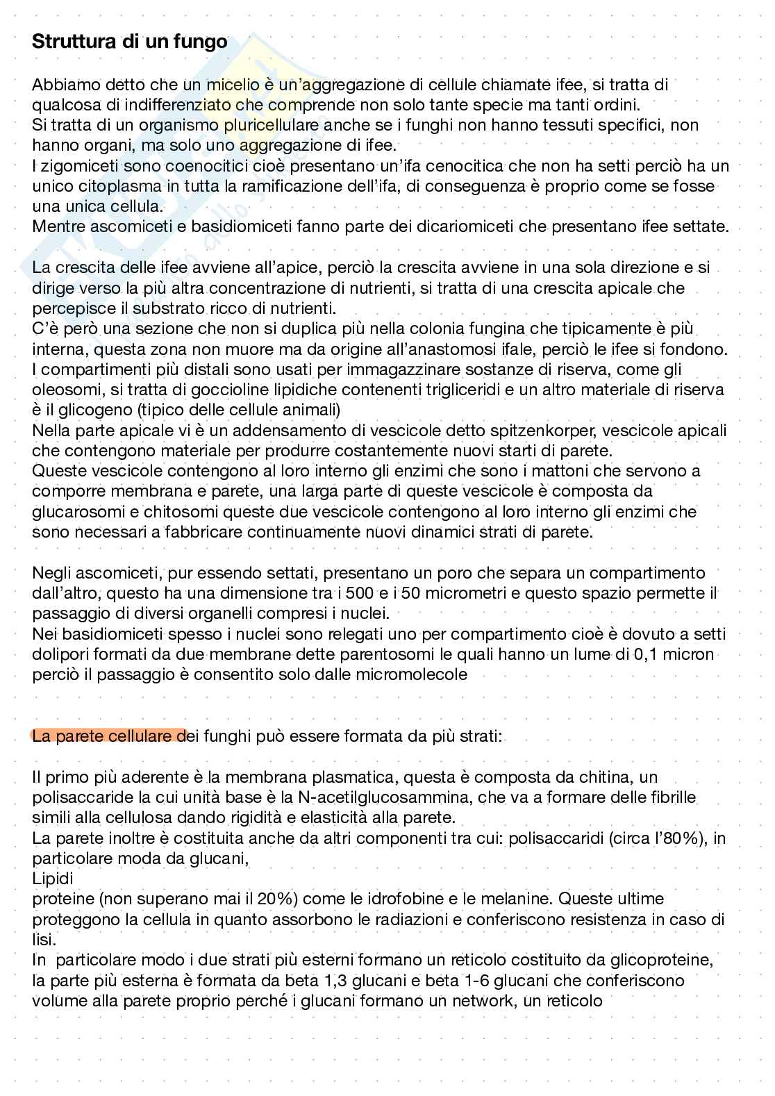 Patologia Vegetale - Marzia Beccaccioli - Laboratorio per lo studio dei materiali di origine vegetale  Pag. 16