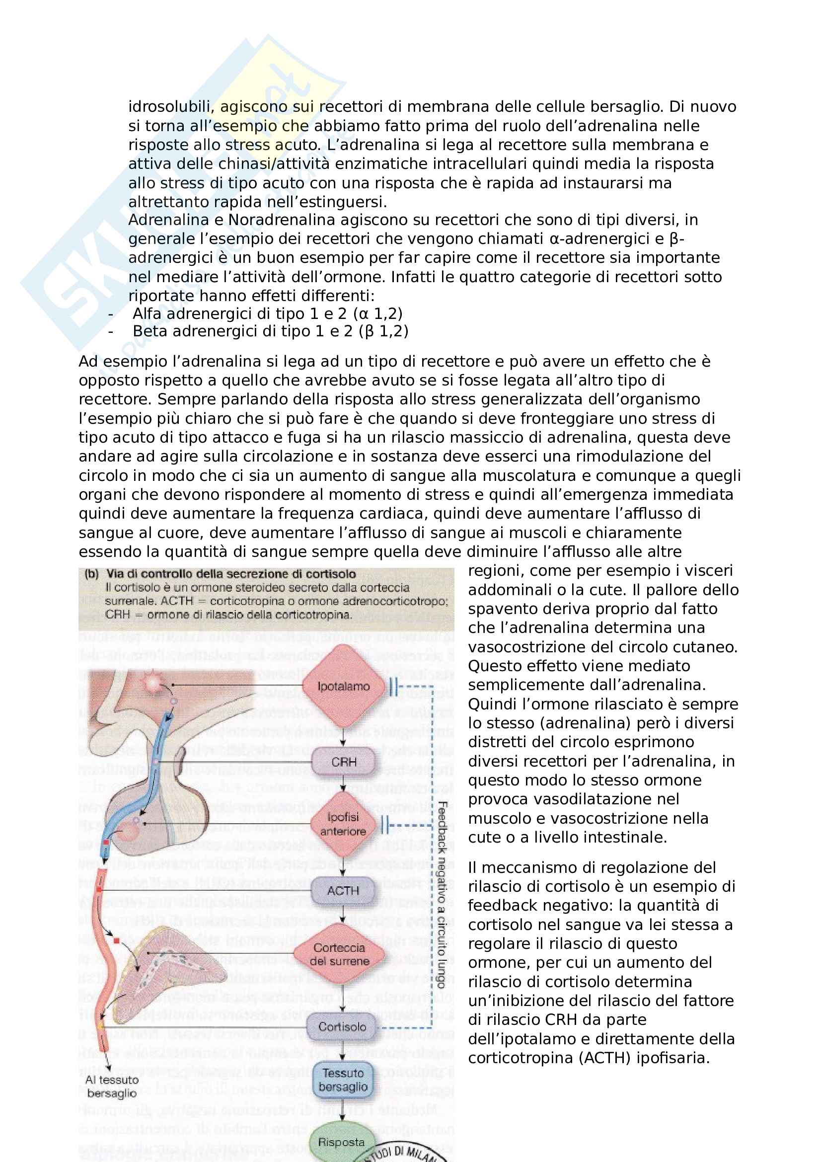 Fisiologia Parte 2 D'angelo, con domande uscite agli esami e crocette risposte Pag. 21