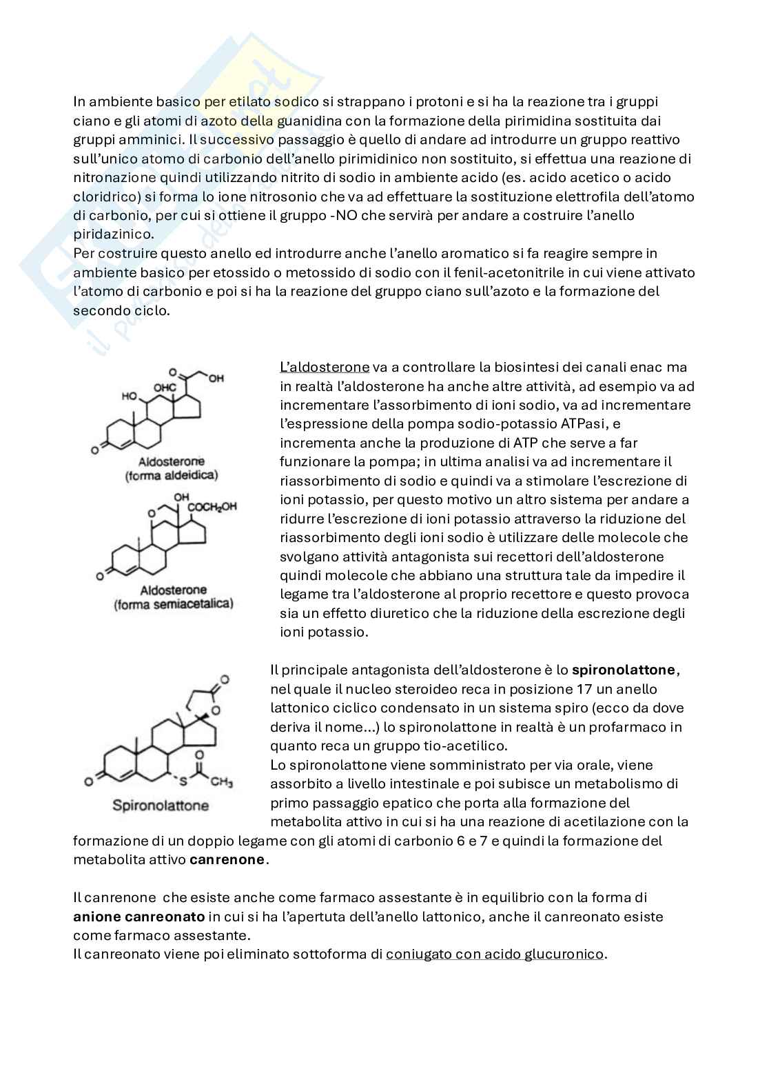 Apputi esame lezioni 24-28 su 33 di Chimica farmaceutica e tossicologica 2  Pag. 16