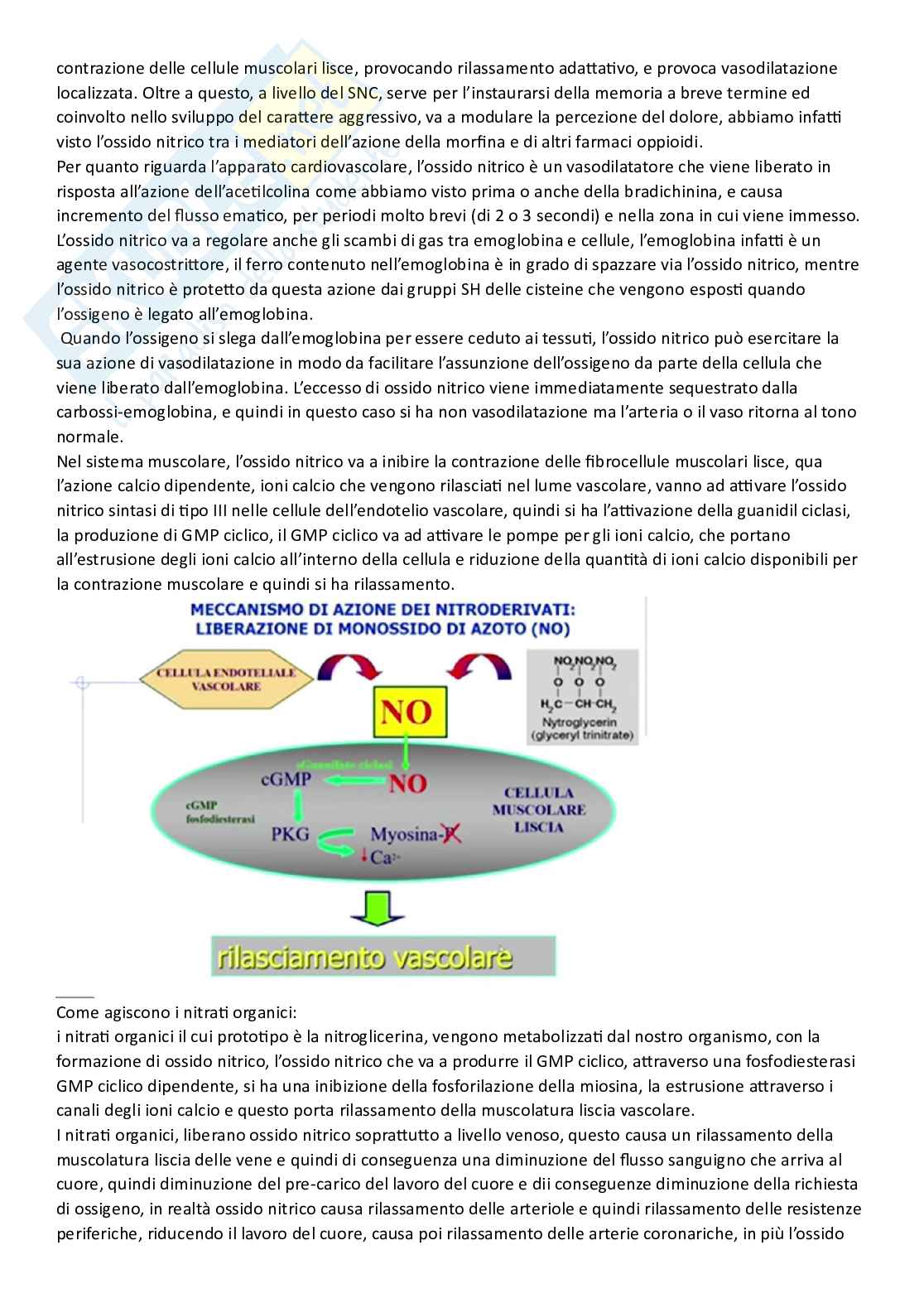 Apputi esame lezioni 24-28 su 33 di Chimica farmaceutica e tossicologica 2  Pag. 31