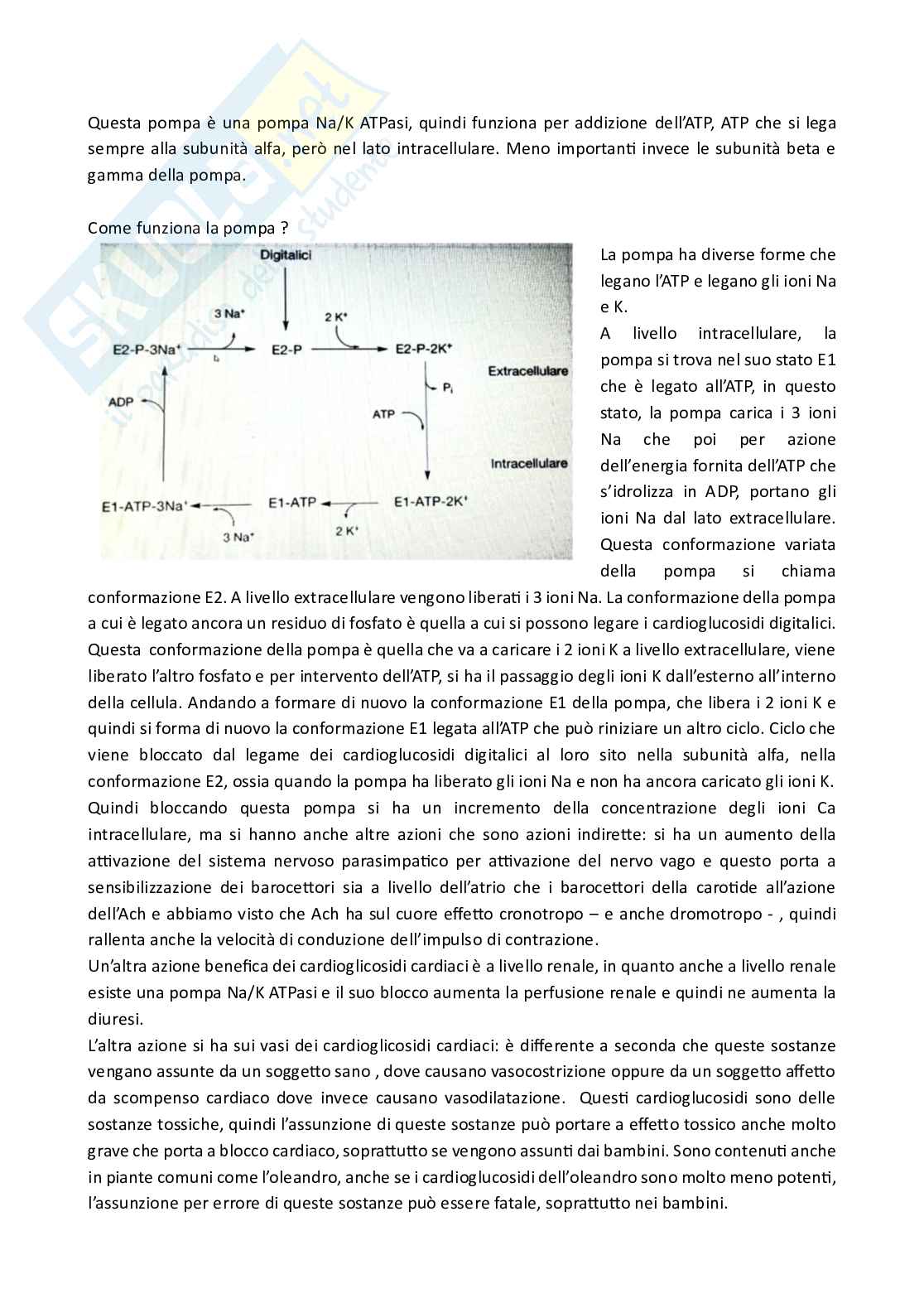 Apputi esame lezioni 24-28 su 33 di Chimica farmaceutica e tossicologica 2  Pag. 41