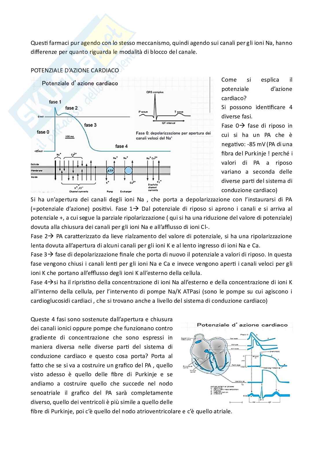 Apputi esame lezioni 24-28 su 33 di Chimica farmaceutica e tossicologica 2  Pag. 51